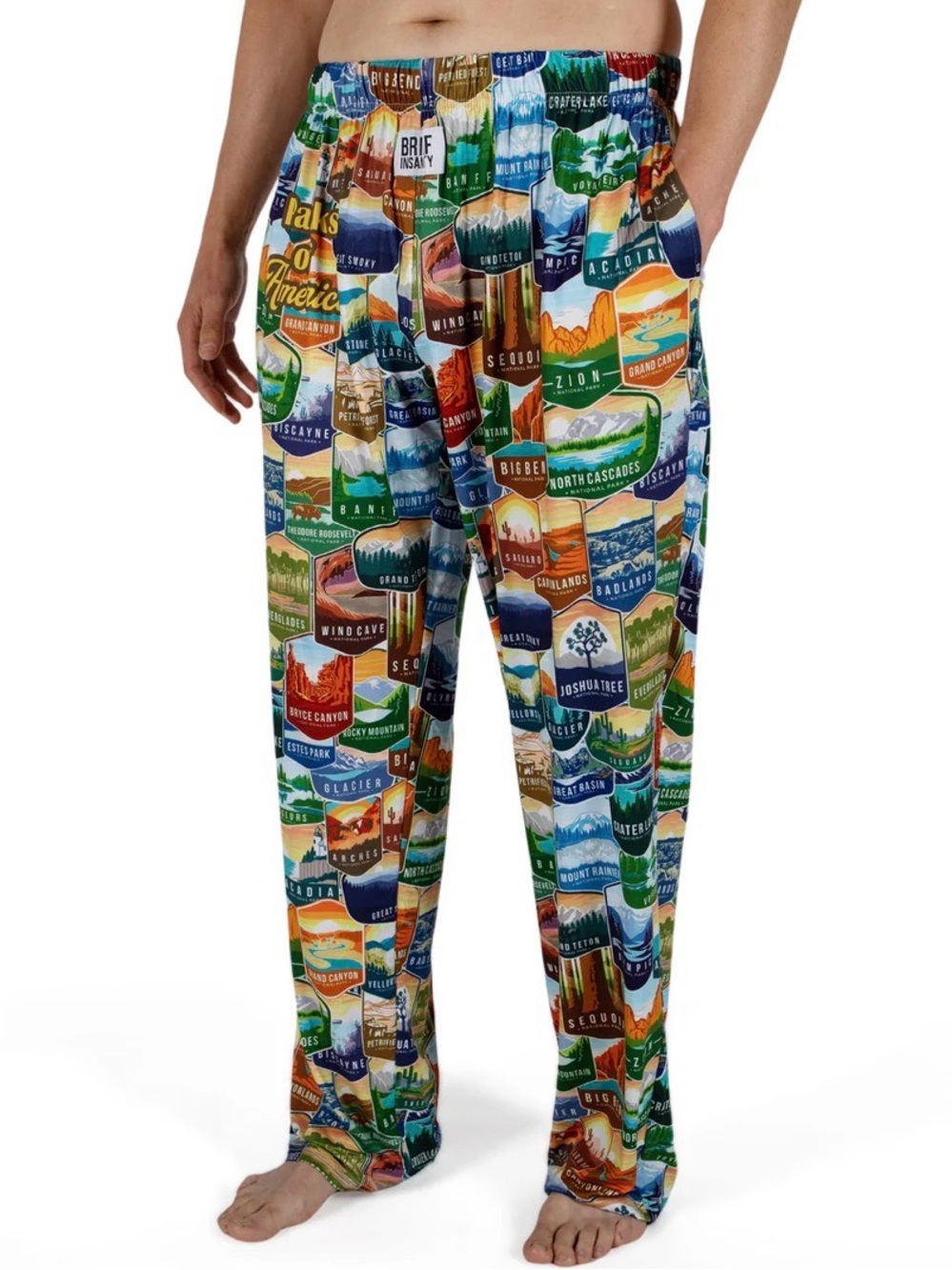 Brief Insanity Parks of America Lounge Pants M